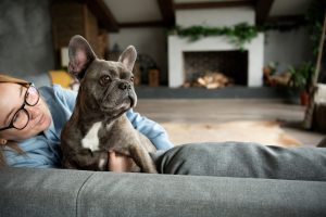 3 Benefits of Protecting Your Pets with Surveillance Cameras